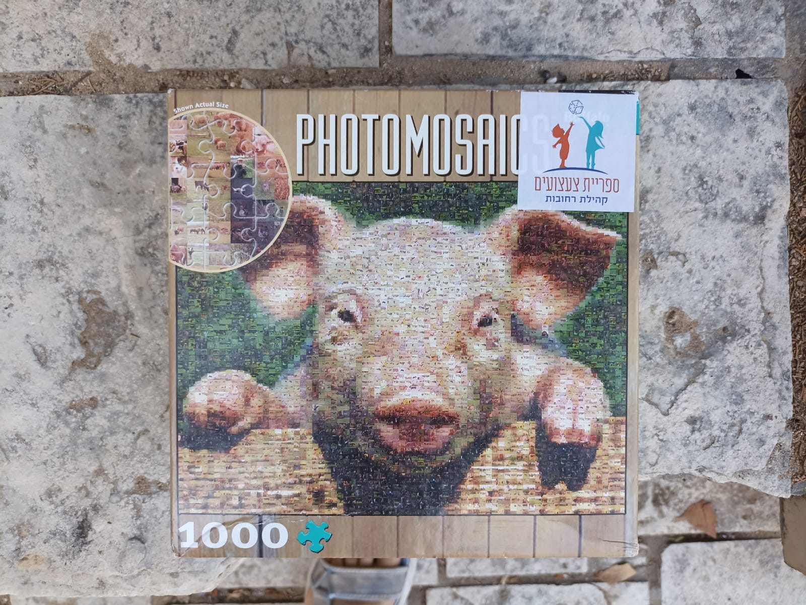 פאזל 1000 חלקים חזיר