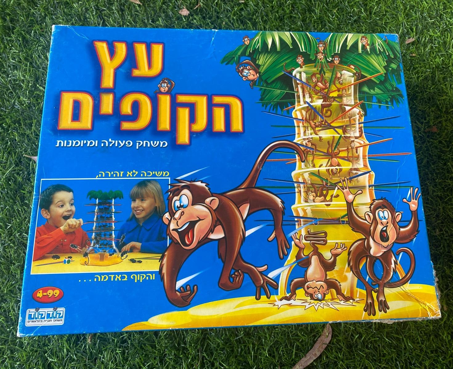 עץ הקופים